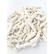 Amazon | 【貝殻の問屋さん】サンゴ片【約3～8cm/約500g】 | ホビー